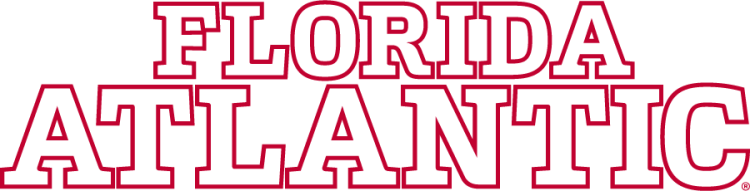 Florida Atlantic Owls 2024-Pres Wordmark Logo v3 diy iron on heat transfer Florida Atlantic Owls 2024-Pres Wordmark Logo v3 diy iron on heat transfer